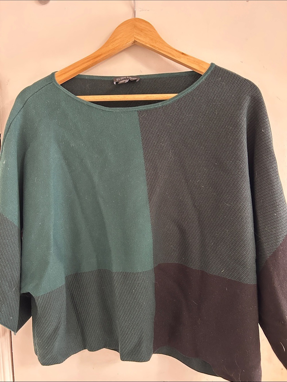 Eileen Fisher Pine Sleek Tencel Bateau Neck Colorblock Top